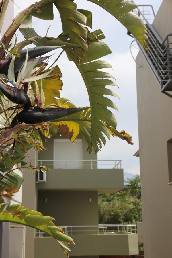 Kamares Apts - Antonis Cozy Maisonette Chania  Exterior photo
